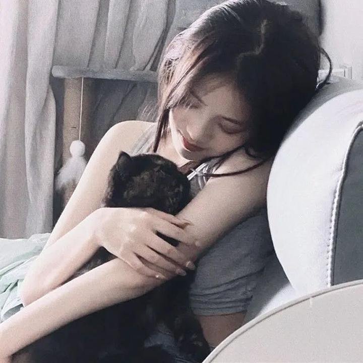 疯狂的狐狸